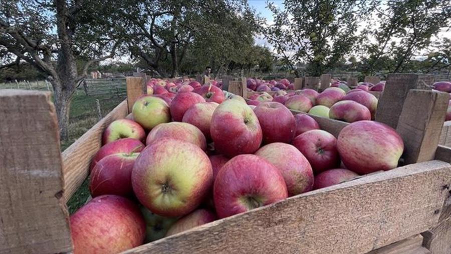 Üreticiden markete 9 kat artış